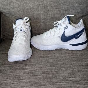 Nike Zoom LeBron NXXT Gen TB Promo